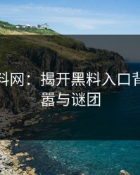 探秘黑料网：揭开黑料入口背后的喧嚣与谜团