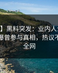 【爆料】黑料突发：业内人士在今日凌晨被曝曾参与真相，热议不止席卷全网