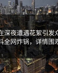 圈内人在深夜遭遇花絮引发众怒，黑料全网炸锅，详情围观