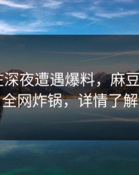 当事人在深夜遭遇爆料，麻豆app官网全网炸锅，详情了解