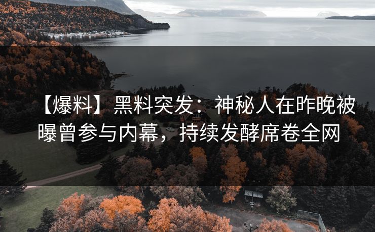 【爆料】黑料突发：神秘人在昨晚被曝曾参与内幕，持续发酵席卷全网